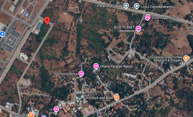 Prime Lot for Lease near Panglao International Airport