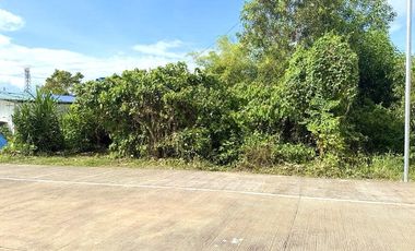 Prime Lot for Lease near Panglao International Airport