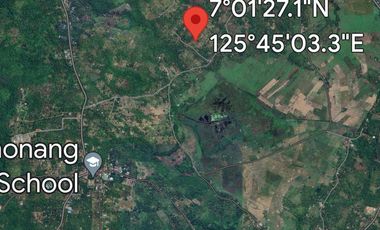 100 sqm Lot in Penaplata Samal Island for Installment