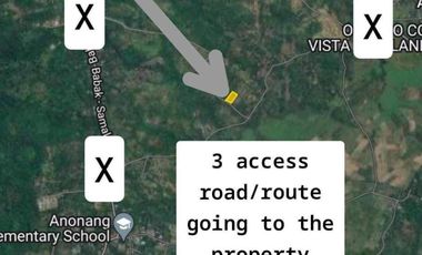 100 sqm Lot in Penaplata Samal Island for Installment