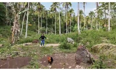 100 sqm Lot in Penaplata Samal Island for Installment