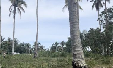 100 sqm Lot in Penaplata Samal Island for Installment