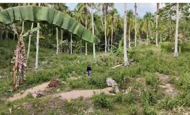 100 sqm Lot in Penaplata Samal Island for Installment