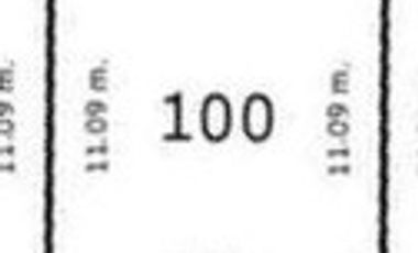 100 sqm Lot in Penaplata Samal Island for Installment