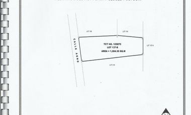 Lot for sale w/ 3 Building in Taft ave Manila