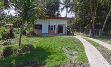 Newly Built Bungalow House and Lot in Valencia, Negros Oriental ID 14993