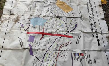 Lot for Sale Clean title in Parang Concepcion, Tarlac