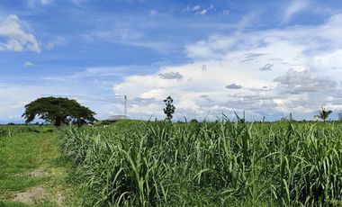 Lot for Sale Clean title in Parang Concepcion, Tarlac