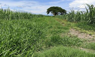 Lot for Sale Clean title in Parang Concepcion, Tarlac