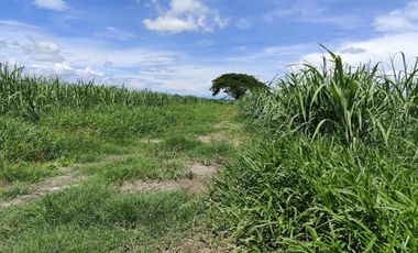 Lot for Sale Clean title in Parang Concepcion, Tarlac