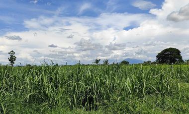 Lot for Sale Clean title in Parang Concepcion, Tarlac