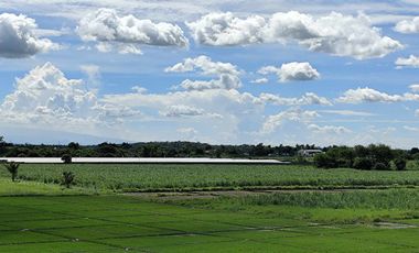 Lot for Sale Clean title in Parang Concepcion, Tarlac