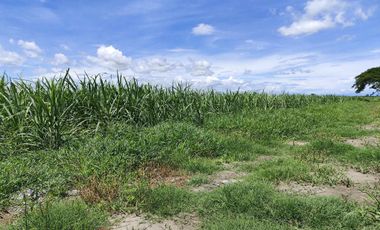 Lot for Sale Clean title in Parang Concepcion, Tarlac