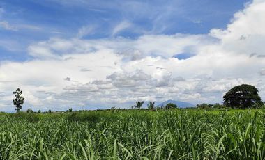 Lot for Sale Clean title in Parang Concepcion, Tarlac