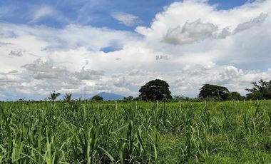 Lot for Sale Clean title in Parang Concepcion, Tarlac