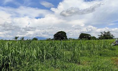 Lot for Sale Clean title in Parang Concepcion, Tarlac