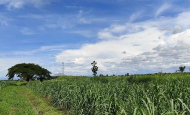 Lot for Sale Clean title in Parang Concepcion, Tarlac