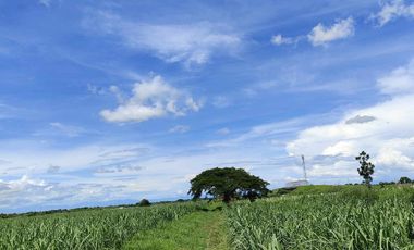 Lot for Sale Clean title in Parang Concepcion, Tarlac