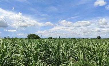 Lot for Sale Clean title in Parang Concepcion, Tarlac