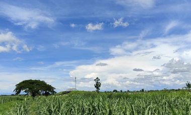 Lot for Sale Clean title in Parang Concepcion, Tarlac