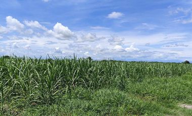 Lot for Sale Clean title in Parang Concepcion, Tarlac