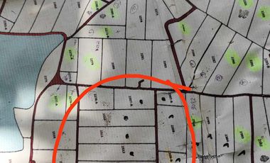 Lot for Sale Clean title in Parang Concepcion, Tarlac