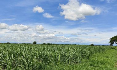 Lot for Sale Clean title in Parang Concepcion, Tarlac