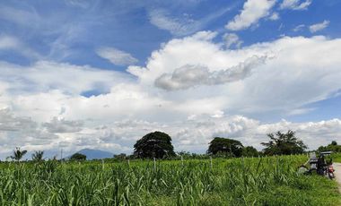 Lot for Sale Clean title in Parang Concepcion, Tarlac