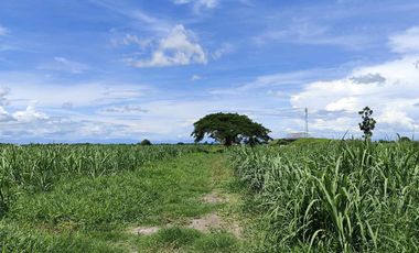 Lot for Sale Clean title in Parang Concepcion, Tarlac