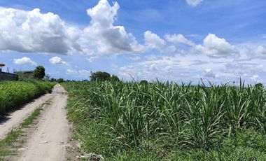 Lot for Sale Clean title in Parang Concepcion, Tarlac