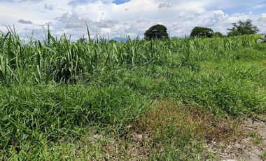 Lot for Sale Clean title in Parang Concepcion, Tarlac