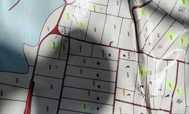 Lot for Sale Clean title in Parang Concepcion, Tarlac
