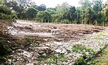 Strategic Lot in Dao, Dauis | Minutes to Beach & Surrounded by Resorts