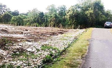 Strategic Lot in Dao, Dauis | Minutes to Beach & Surrounded by Resorts