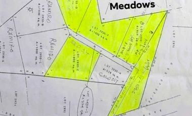 Strategic Lot in Dao, Dauis | Minutes to Beach & Surrounded by Resorts