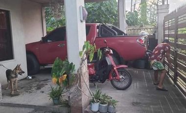 TWO-STOREY HOUSE AND LOT FOR SALE IN DUMAGUETE CITY  ID 14882