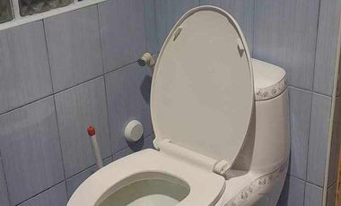 TWO-STOREY HOUSE AND LOT FOR SALE IN DUMAGUETE CITY  ID 14882