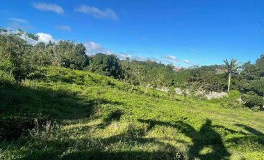 FOR SALE 1 HECTARE LAND IN TAGAYTAY CITY