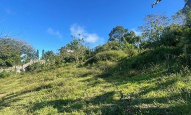 FOR SALE 1 HECTARE LAND IN TAGAYTAY CITY