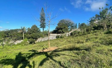 FOR SALE 1 HECTARE LAND IN TAGAYTAY CITY