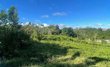 FOR SALE 1 HECTARE LAND IN TAGAYTAY CITY