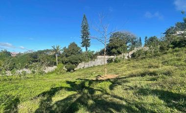 FOR SALE 1 HECTARE LAND IN TAGAYTAY CITY