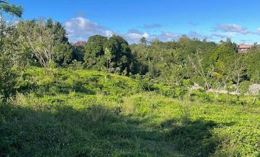 FOR SALE 1 HECTARE LAND IN TAGAYTAY CITY