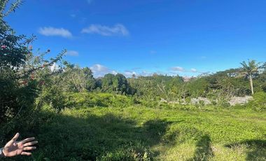 FOR SALE 1 HECTARE LAND IN TAGAYTAY CITY