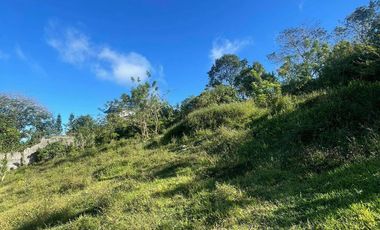 FOR SALE 1 HECTARE LAND IN TAGAYTAY CITY