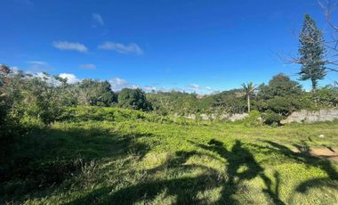 FOR SALE 1 HECTARE LAND IN TAGAYTAY CITY