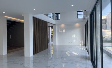 Brand New Modern House and Lot in BF Northwest, BF Homes Paranaque City