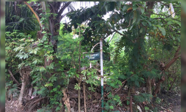 Lot For Sale Victoria Homes Muntinlupa