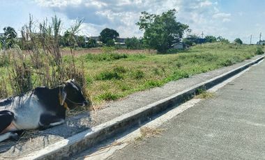 Ponteverde Residential Phase 5