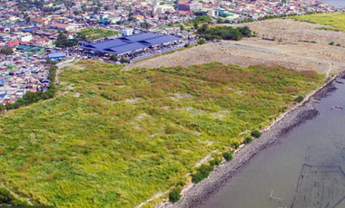 11 has Cavite City Lot for Lease/Rent near PN Sangley Airport Raw land hectares